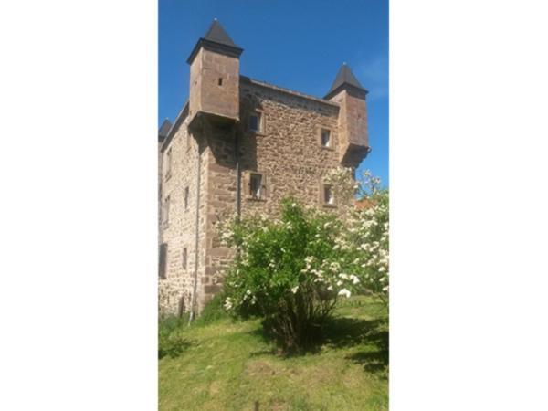 Chambres D Hotes Chateau D Arcis Les Granges  Eksteriør bilde