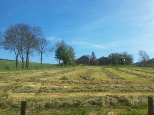 Chambres D Hotes Chateau D Arcis Les Granges  Eksteriør bilde